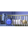 Zegar do nauki snu - Snoozee Sleep Trainer & Clock Purflo